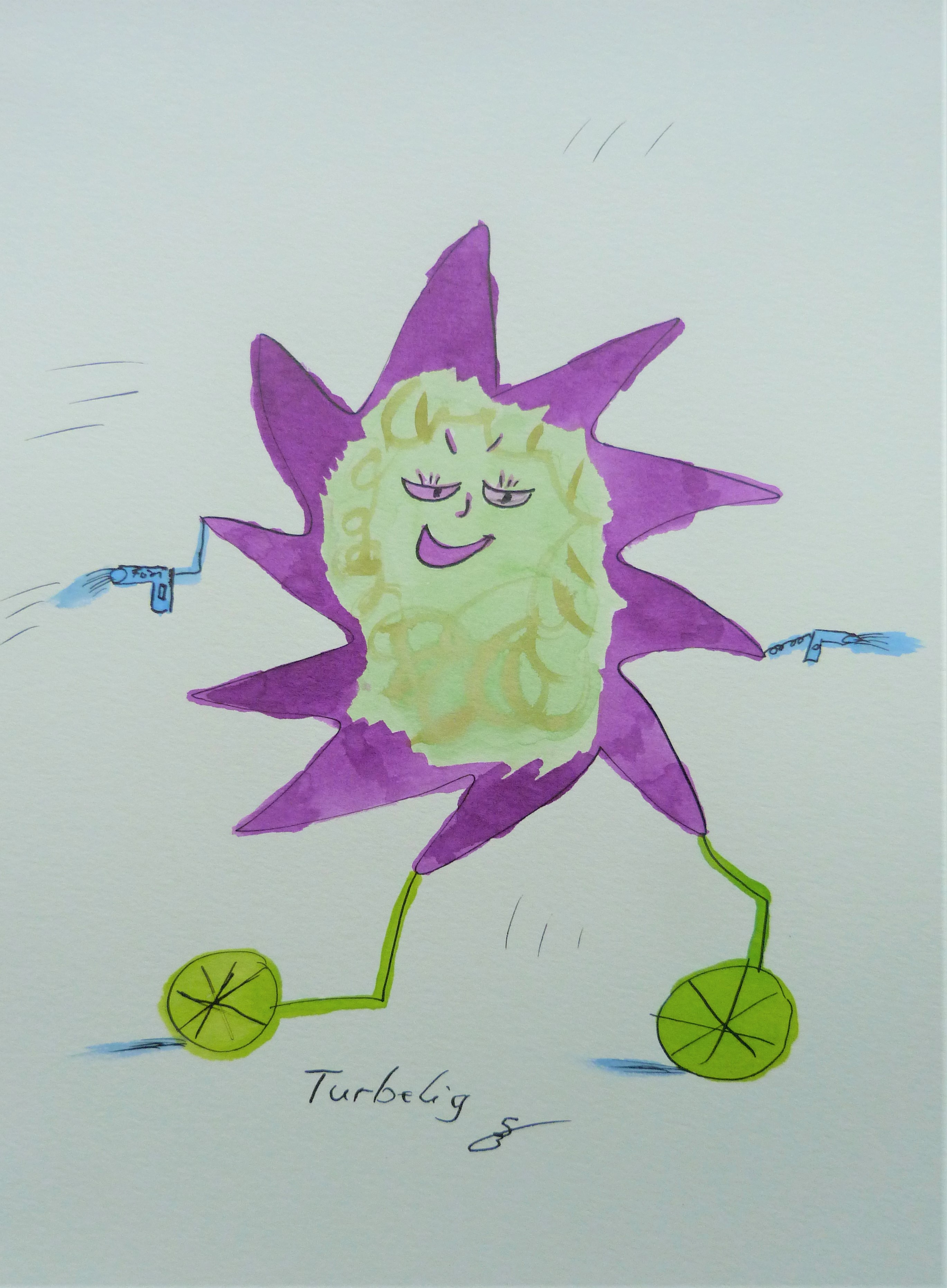 30-Turbelig